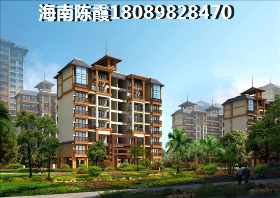 金岛海一方
