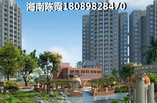 海南中基美域优势