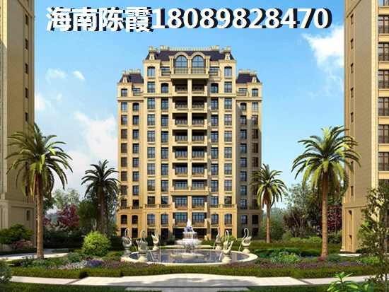 海口湾1号XG政策