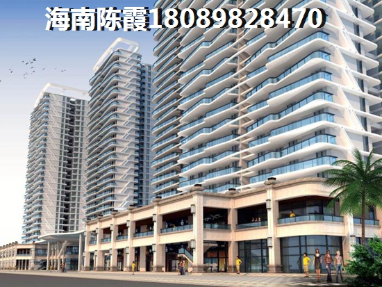 海南全域XG政策