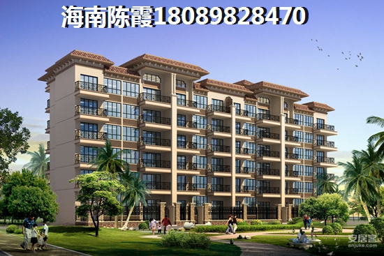 为何滨海领地的“候鸟”那么多？