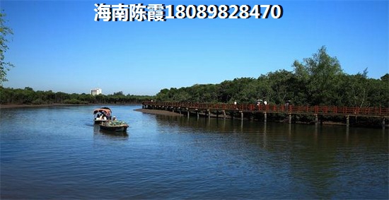 伟业智青春怎么样
