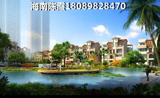 海口XG政策