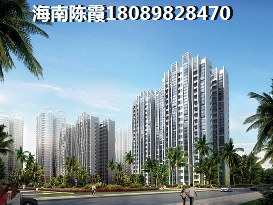 >2020海口买房指南