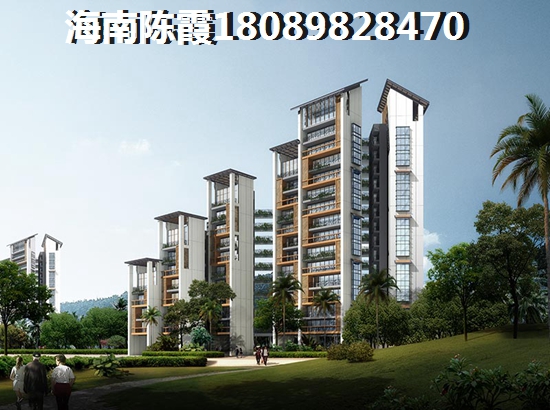 海口XG政策 海口XG政策