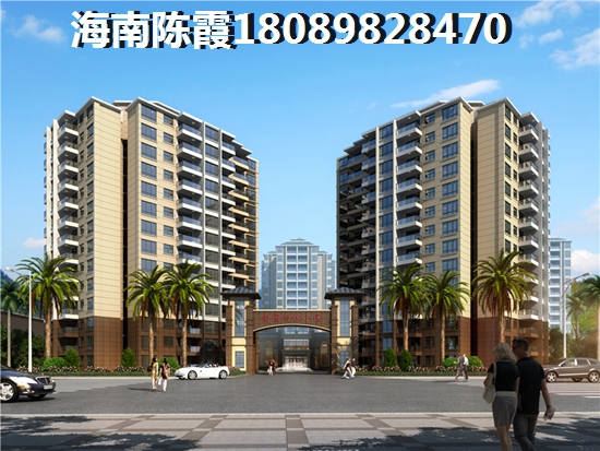 >2020金泰龙步行街·商厦买房分析