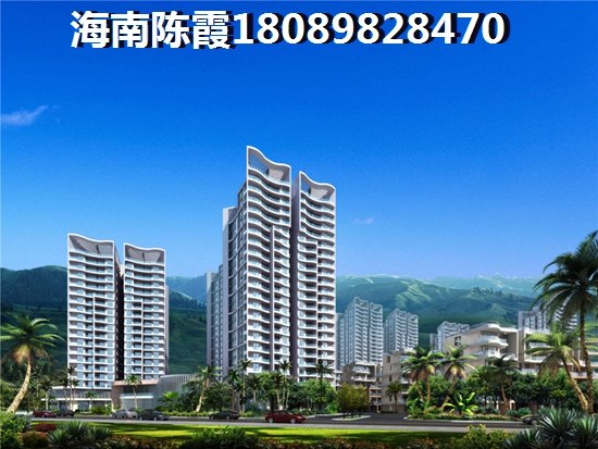 海南富地国际XG政策