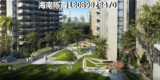 >2020海口买房解读