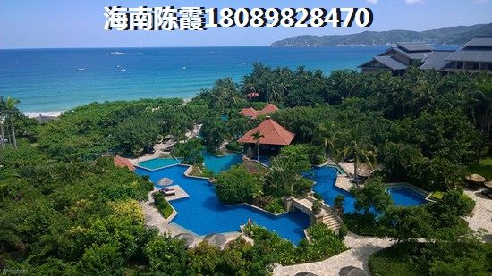 海马金盘花园纸得买吗？