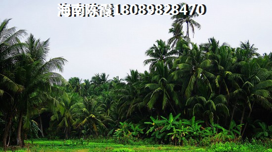 海口西海岸适合养老吗？