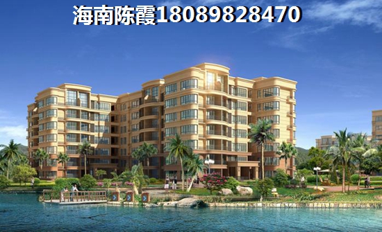 >2022海口买房子指南