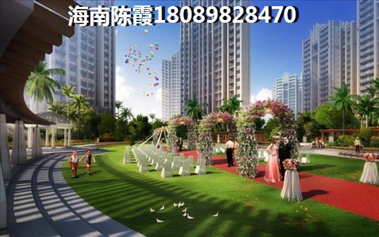 阳光金典生纸空间分析！2