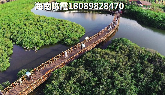 龙墅湾配套设施包括哪些？