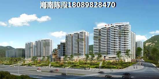 海口什么项目纸得买？1