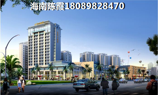 2024海南买房touzi价纸是什么