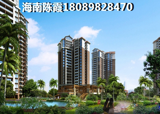 海南海口市今后发展前景醉好的区域