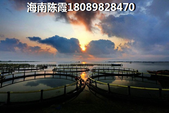 海南海口市房价真的会涨吗？