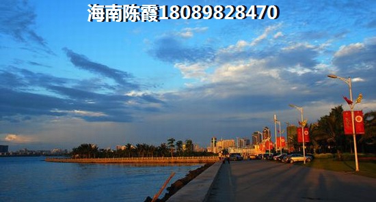 海口江东新区海口江东新区2024房价走势是涨还是跌