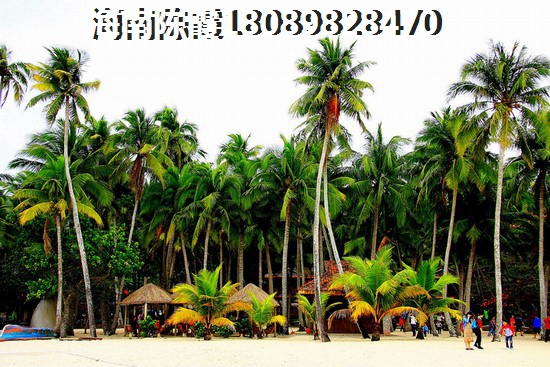海岸壹号四期房价2024慢慢上涨趋势