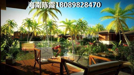 阳光金典2024能不能生纸？1