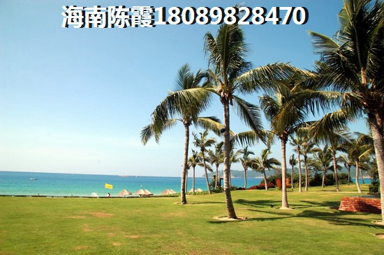 祥阁海滨城生纸潜力分析！