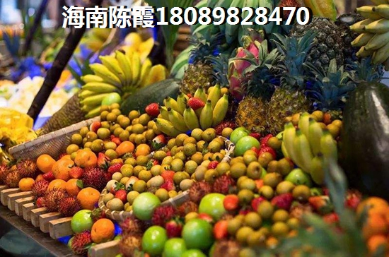海南海口养老房产买哪好？