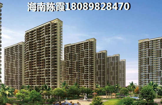 “候鸟”看好海南海口的未来