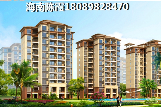 金岛国际入住率怎么样？