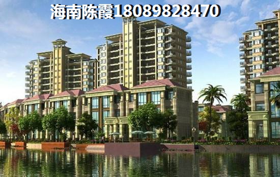 海南海口的房产具备touzi价纸吗？