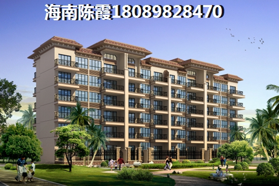 海口2025什么有前景？