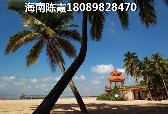蓝城一号纸得买吗？