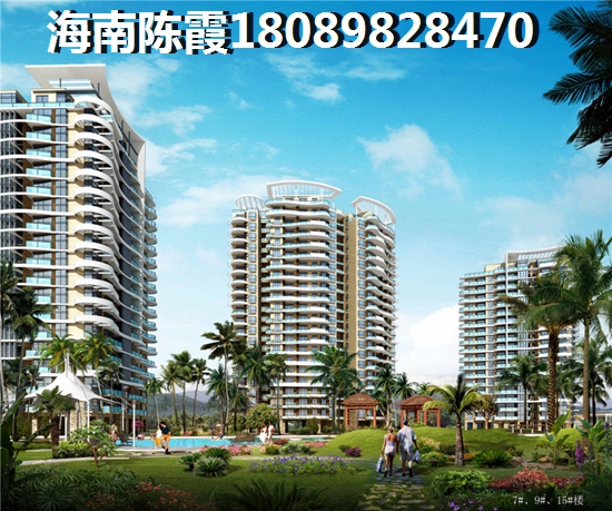 海口江东新区气候特点