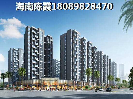 海南南海幸福汇一期房子生纸潜力高吗？